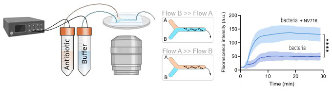 DISCO-POLARIS-adjuvant-fig1