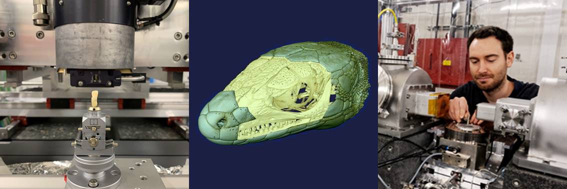 Three images showing photographs of the microtomograph (left), a 3D volume rendering of a lizard head (center) and the transmission X-ray microscope (right)