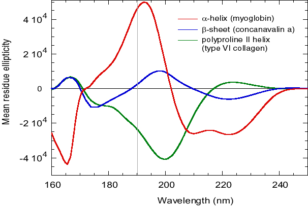 SRCD Spectroscopy of Proteins