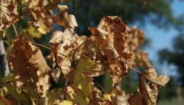 image section Environnement et géosciences