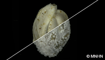 image section Patrimoine culturel et naturel