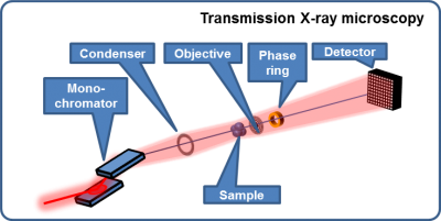 Schematic of transmission X-ray microscopy