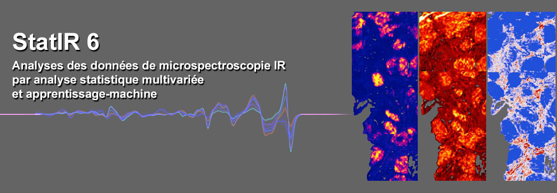 statir6-2022-bandeau