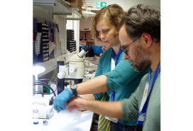 L’étude de tablettes d’envoûtement gallo-romaines découvertes à Orléans continue sur la ligne PSICHÉ