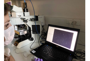 DISCO-POLARIS_adjuvant_ATB-0.jpg