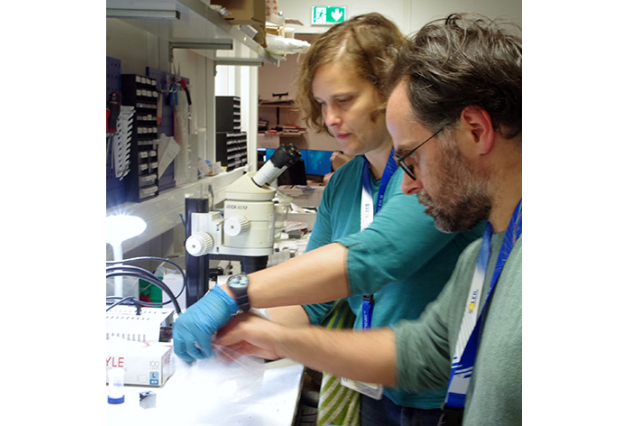 L’étude de tablettes d’envoûtement gallo-romaines découvertes à Orléans continue sur la ligne PSICHÉ