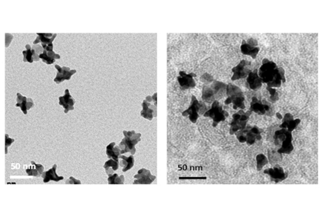 samba_tumeurs_nanoparticules-0.jpg