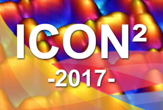 icon2-2017-ip.jpg