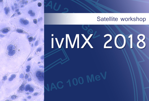 ivmx-2018-img-carrousel.jpg