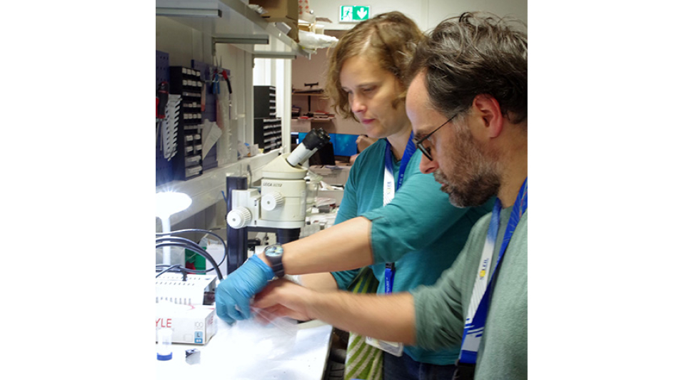 L’étude de tablettes d’envoûtement gallo-romaines découvertes à Orléans continue sur la ligne PSICHÉ