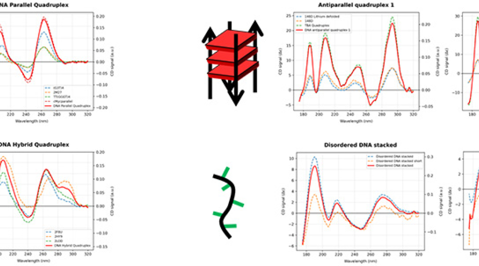 DISCO_CD_nucleotides-0