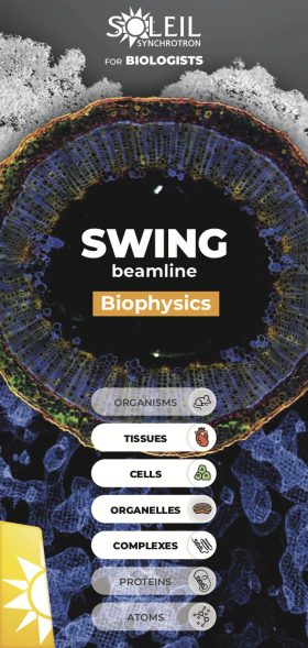 swing-biophysics-pict.png